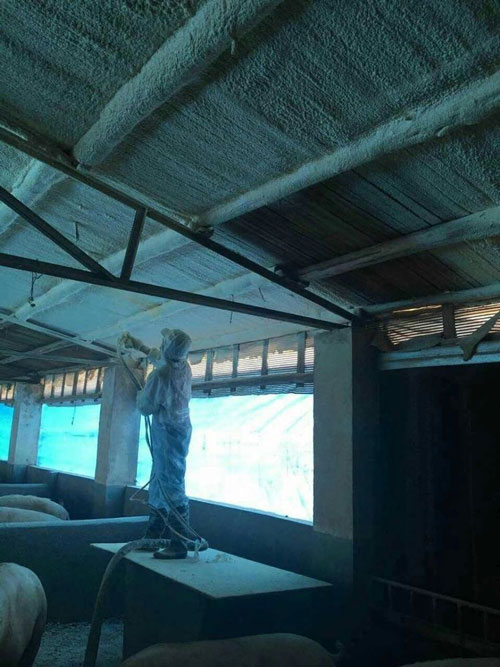 頂棚保溫發泡緊密貼合案例